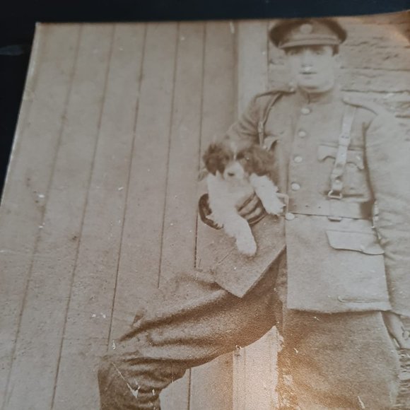 Meet your Posher, Nuala - Picture 1 of 1